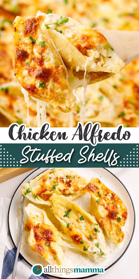 collage image pin of Chicken Alfredo Stuffed Shells. Jumbo Shell Recipes, Cheesy Chicken Alfredo, Easy Chicken Alfredo, Chicken Alfredo Stuffed Shells, Alfredo Stuffed Shells, Shell Pasta Recipes, Pasta Shells, Stuffed Shells Recipe, Pasta Dinner Recipes