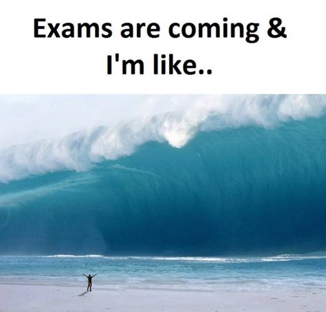 Exams are coming and I'm like... Funny School Quotes, History Quotes Funny, Exam Memes, Quotes Student, Relationship Funny, Exams Memes, History Exam, Exams Funny, Exam Quotes