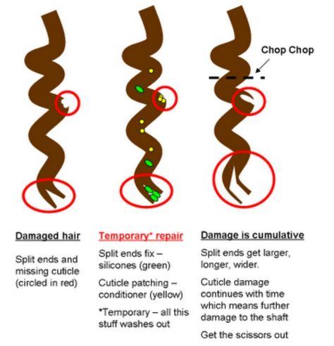 Split ends Natural Hair Care Tips, Types Of Hair, Heat Damage, Damaged Hair Repair, Natural Hair Tips, Relaxed Hair, Natural Hair Journey, Curly Hair Care, Natural Hair Growth