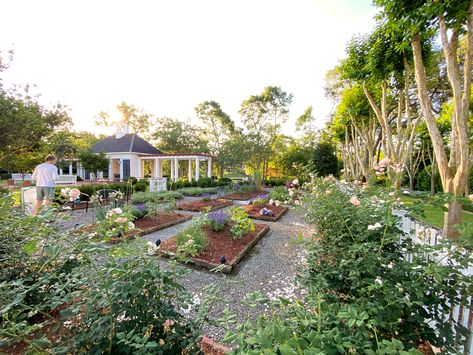 Herrington – P. Allen Smith Crepe Myrtle Trees, Designing A Garden, P Allen Smith, Myrtle Tree, Lafayette Louisiana, Crepe Myrtle, Traditional Style Homes, Design A Space, Old Bricks