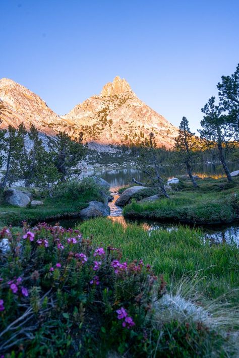 Backpacking to Young Lakes in Yosemite - Somewhere Sierra Best Hikes In Yosemite National Park, Backpacking Yosemite, Yosemite Aesthetic, Lasagna Party, Garfield Lasagna, North California, Yosemite Trip, Tuolumne Meadows, Yosemite Camping