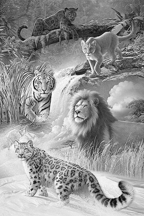 40 Realistic Animal Pencil Drawings Drawing Of Animals, Animals In The Wild, Pencil Drawings Of Animals, Big Cats Art, White Drawing, Grayscale Coloring, Animal Sketches, Black And White Drawing, Animal Coloring Pages