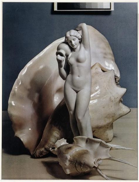 Paul Outerbridge: Statue and shells ca. 1936 Paul Outerbridge, Photo Bank, Photography Themes, Still Photography, History Of Photography, Bnw Photography, Seashell Art, Sculpture Installation, Senior Photography