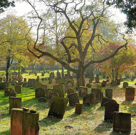 Cemetery Gates, Old Cemetery, Grave Yard, Cemetery Headstones, Spooky Places, Old Cemeteries, Cemetery Art, After Life, Six Feet Under