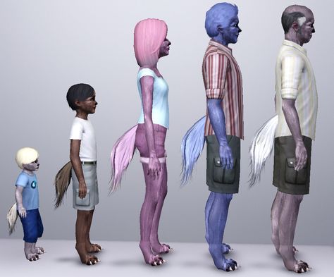 Mod The Sims - Wolf Tails For All Sims 4 Cc Ears And Tail, Wolf Ears And Tail, Deer Tail, Sims 4 Cc Patreon, Wolf Poses, Wolf Tail, Ts4 Mods, Ts3 Cc, Cc Patreon