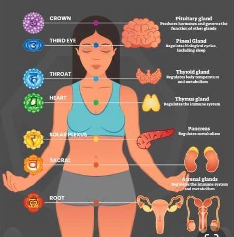 Chakra And Organs, Where Are The Chakras Located, Root Chakra Information, Heart Chakra Opening, Egyptian Chakra System, Music Recording Studio, Chakra System, Keto Diet Food List, Learn Astrology