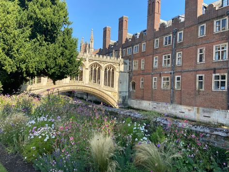 St John’s College Cambridge, St Johns Cambridge, Cambridge London, Revision Motivation, Uk College, St Johns College, Future School, Cambridge University, Uni Life