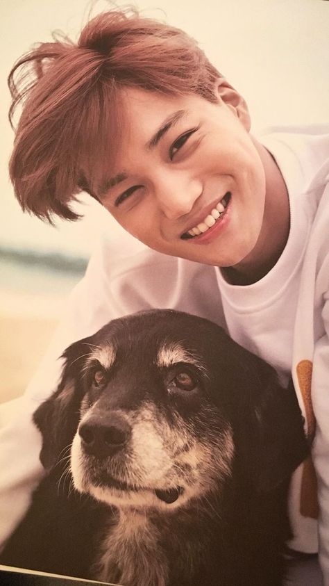 Kai and the dog look so cute!!! Exo Dear Happiness, Exo Photoshoot, Exo Jongin, Kim Kai, Lee Jin, Exo Ot12, Baekhyun Chanyeol, Girls' Generation, Exo Memes