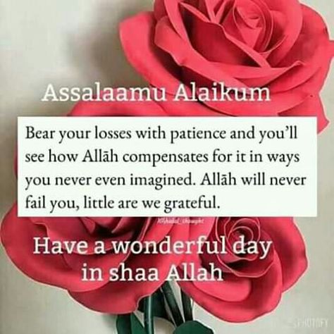 Jumuah Mubarak Quotes, Islamic Greetings, Jumuah Mubarak, Islamic Quotes In English, Subah Bakhair, Morning Sayings, Morning Dua, Trust Allah, Love My Husband Quotes