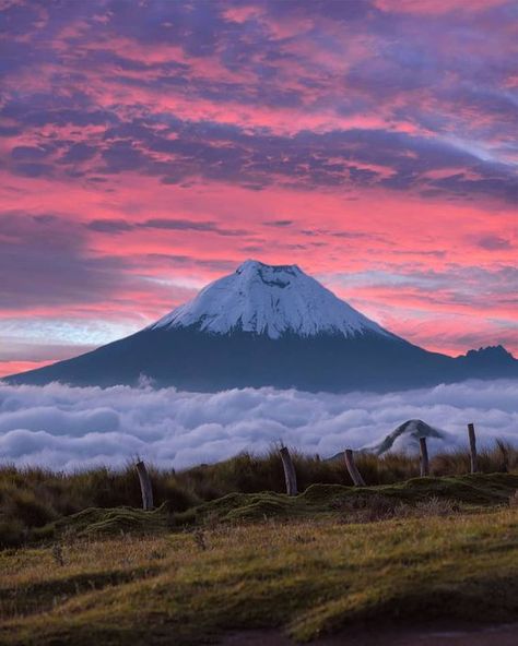 Ecuador Aesthetic, Ecuador Nature, Cotopaxi Volcano, Cuenca Ecuador, Ecuador Travel, Costa Rica Travel, Galapagos Islands, The Saint, Quito