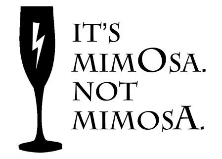 Its Mimosa Not Mimosa Harry Potter, Harry Potter Bachelorette Party Shirts, Muggle To Mrs Bachelorette, Mimosa Not Mimosa Sign Harry Potter, Harry Potter Batchloret Party, Harry Potter Drinks, Mimosa Meme Funny, Ravenclaw Quidditch, Harry Potter Parties Food