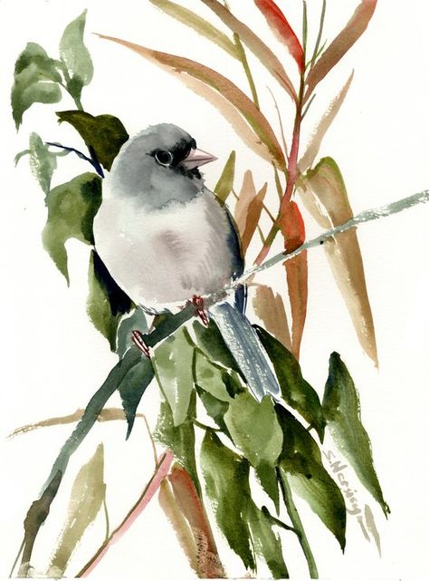 Buy Dark Eyed Junco, Watercolor by Suren Nersisyan on Artfinder. Discover thousands of other original paintings, prints, sculptures and photography from independent artists. Dark Eyed Junco, Suren Nersisyan, Bird Watercolor Paintings, Watercolor Birds, Arches Watercolor Paper, Bird Artwork, Paintings Prints, Dark Eyes, Watercolor Bird