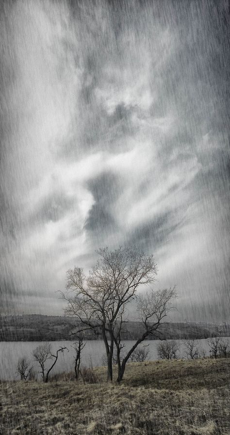 Rainy Sky Painting, Rainy Day Sky, Dnd Tarot, Rainy Clouds, Sustained Investigation, Sky Tattoos, Rainy Sky, Cherry Orchard, Rainy Day Aesthetic