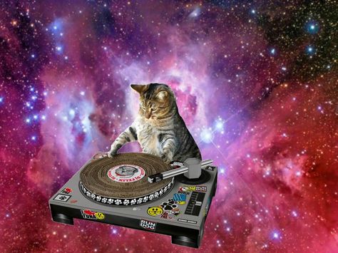 Space cat Galaxy Animals, Space And Aliens, Trippy Cat, Cat Galaxy, Dj Cat, Cat Rules, Cat In Space, Cats In Space, Funny Cat Wallpaper