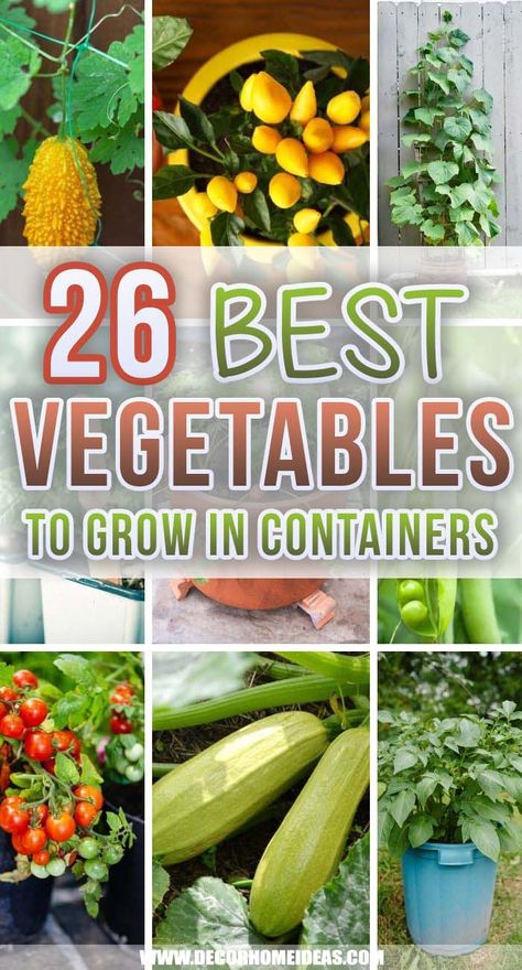 Vegetable Garden In Pots, Vegetables To Grow In Pots, Planting Veggies, Best Vegetables To Grow, Suburban Garden, Garden Landscaping Backyard, Potatoes Tomatoes, Glo Girl, Gardening For Dummies