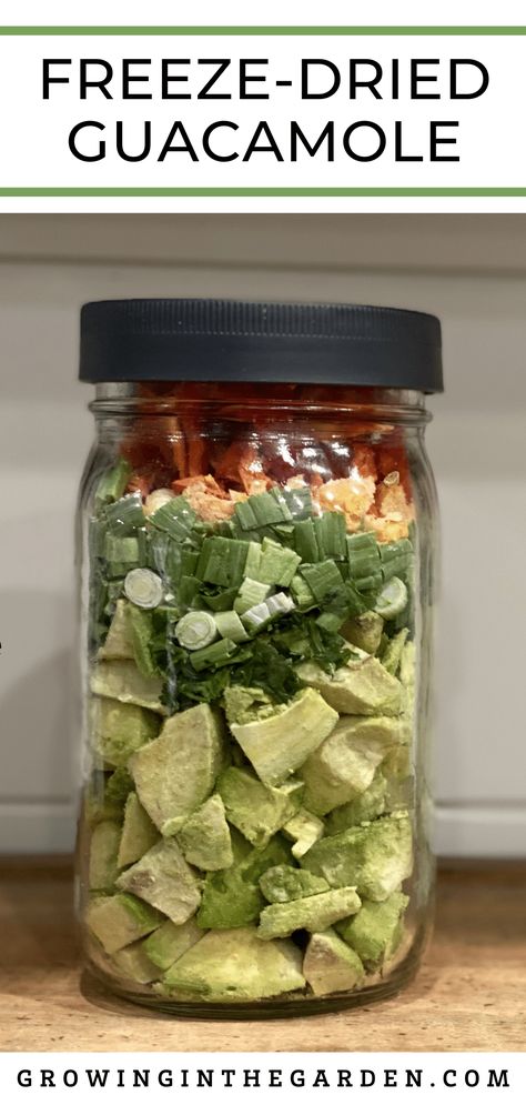 Freezing Recipes, Freeze Dried Food Storage, Freeze Dried Vegetables, Harvest Right Freeze Dryer, Best Freeze Dried Food, Freeze Dryer, Soup In A Jar, Canning Food Preservation, Canned Food Storage