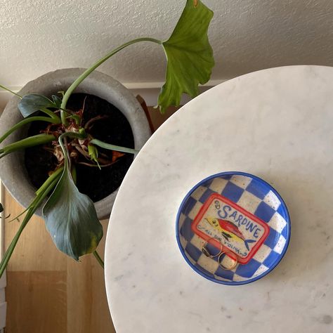 finding so much joy in the little things !! ❤️ amaco velvet underglazes. & new hands behind the wheel. & my cool new sardine dish. & eating pasta i made out of a plate i made 🍝🌱🐟 #ceramicartist #clay #potterylife #functionalpottery #amacovelvetunderglaze Eating Pasta, Salt Light, Diy Pottery Painting, Salt And Light, Clay Stuff, Cake Inspo, Painted Plates, Functional Pottery, Hand Painted Plates