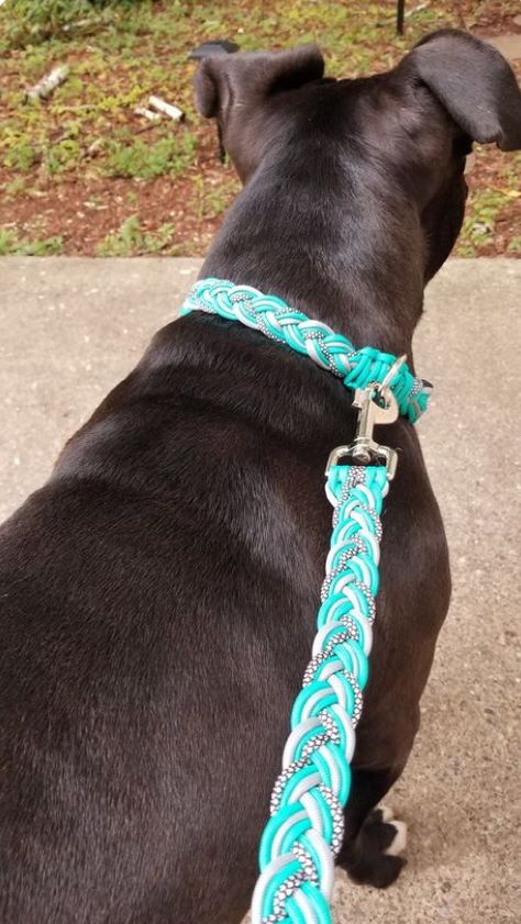 Dog Paracord Collar, Making Dog Collars, Paracord Dog Leash Diy, Paracord Dog Collar Diy, Diy Dog Leash, Horse Tack Diy, Paracord Dog Collar, Paracord Projects Diy, Paracord Dog Leash