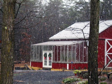 Nice greenhouse/barn combo Greenhouse Addition, Porch Greenhouse, Greenhouse Kitchen, Homemade Greenhouse, Underground Greenhouse, Cheap Greenhouse, Best Greenhouse, Lean To Greenhouse, Outdoor Greenhouse