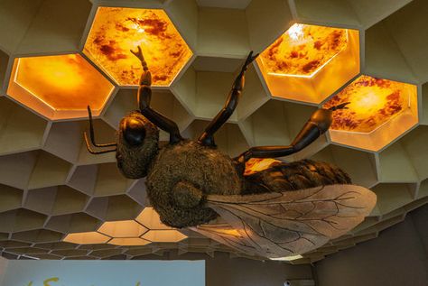 Bee Museum, Rodos Greece, Wild Bees, Honey Brand, Parts Of The Earth, Honey Bee Decor, Honey Shop, Bee Inspired, Unusual Things