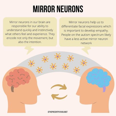 Mirror Neurons in our brains are responsible for our ability to understand quickly and instinctively what others feel and experience 🧠⁠ ⁠ Read more on my instagram now @ashleyturner1 Mirror Neurons Neuroscience, Neuro Exercises, Neurology Aesthetic, Neuroscience Aesthetic, Interpersonal Neurobiology, Mirror Neurons, Brain Anatomy And Function, Brain Psychology, Brain Neurons