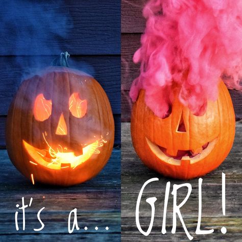 Pumpkin Halloween pregnancy announcement. It’s a girl. Smoke bomb. #genderreveal #gender #smokebomb #announcement #halloween #pregnancy #itsagirl Jack O Lantern Gender Reveal, Pumpkin Reveal Gender Ideas, Halloween Gender Announcement, Halloween Gender Reveal Photoshoot, Gender Reveal Halloween Ideas, Gender Reveal Party Halloween, How To Reveal Gender, Gender Announcement Ideas For Family, Halloween General Reveal