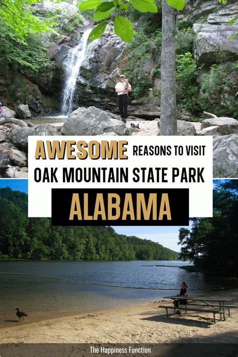 Alabama Vacation Places To Visit, Alabama Hikes, Visit Alabama, Usa Vacations, Horseback Riding Trails, Fun Trips, Alabama Vacation, Usa Travel Map, Alabama Beaches