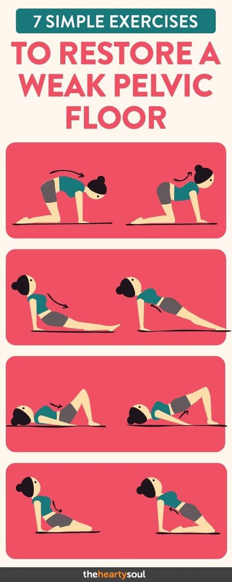 Healthy Sport, Pelvic Floor Exercises, Pelvic Floor Muscles, Simple Exercises, Floor Workouts, Post Partum Workout, Pelvic Floor, Physical Fitness, Easy Workouts