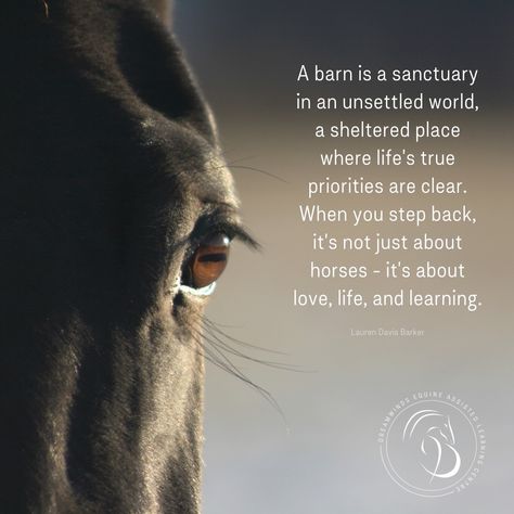 Horse Connection Quotes, Horse Sayings Inspiration, Quotes About Horses Love, Horse Therapy Quotes, Heart Horse Quote, Horse Lover Quotes, Horse Quotes Meaningful, Horse Love Quotes, Horse Quotes Funny