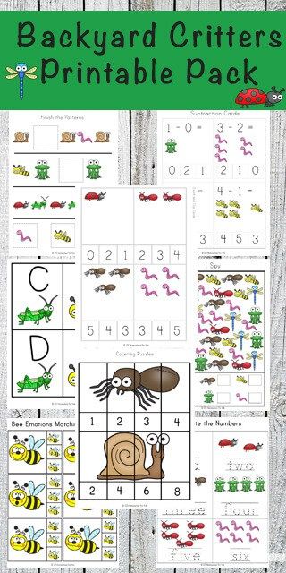 FREE Backyard critters Printable Pack - make practicing alphabet letters, counting, what comes next, number words, shapes, clip cards, and so much more for summer learning, extra practice, at home preschool for preschool, kindergarten, and first grade kids Fun Worksheets For Kindergarten, 123 Homeschool 4 Me, Bug Activities, Insects Preschool, Bugs Preschool, Insect Activities, Insects Theme, Worksheets For Kindergarten, Summer Learning