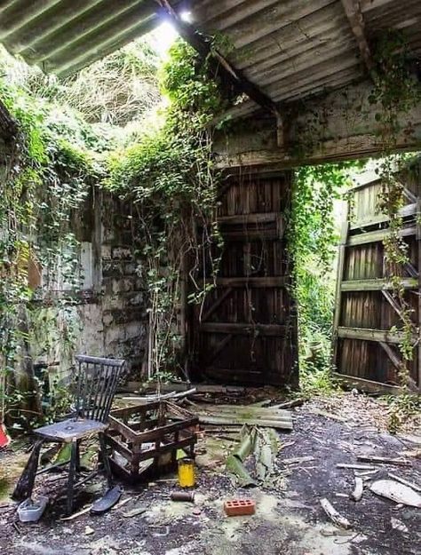 Nature Taking Over Buildings, Atelier Decor, Apocalypse Aesthetic, Abandoned Mansions, Haunted Places, Old Building, Abandoned Buildings, Abandoned Houses, Magical Places