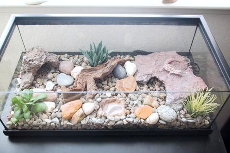 Gecko Cage, Gecko Enclosure, Iguana Pet, Leopard Gecko Habitat, Leopard Gecko Tank, Leopard Gecko Care, Gecko Habitat, Gecko Terrarium, Bearded Dragon Care