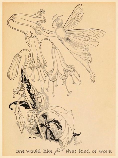 Old Wives Tales, Wives Tales, Fairy Drawings, Fairy Illustration, Elves And Fairies, Fairy Tattoo, Unique Drawings, Fairytale Illustration, Vintage Fairies