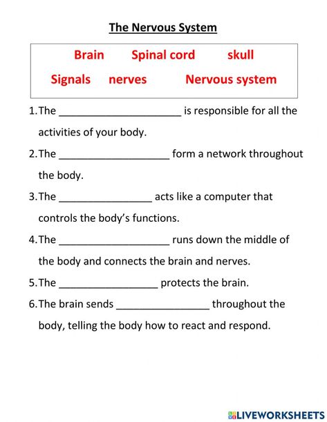 The nervous system online worksheet for 4. You can do the exercises online or download the worksheet as pdf. Nervous System Worksheet, Nervous System Projects, Evs Worksheet, Body Systems Worksheets, Medical Terminology Study, Nervous System Activities, Human Body Worksheets, Sistem Saraf, Science Homework