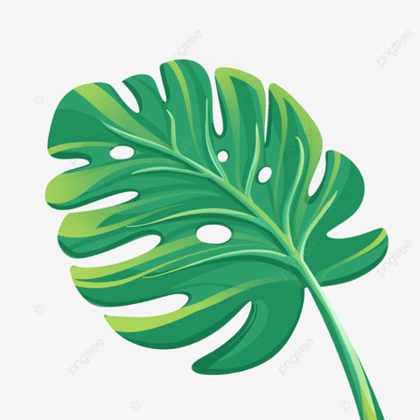 Leaves Decoration, Hand Drawn Leaves, Leaf Clipart, Monstera Leaves, Leaf Background, Printed Backgrounds, Monstera Leaf, Tropical Leaves, Aesthetic Backgrounds