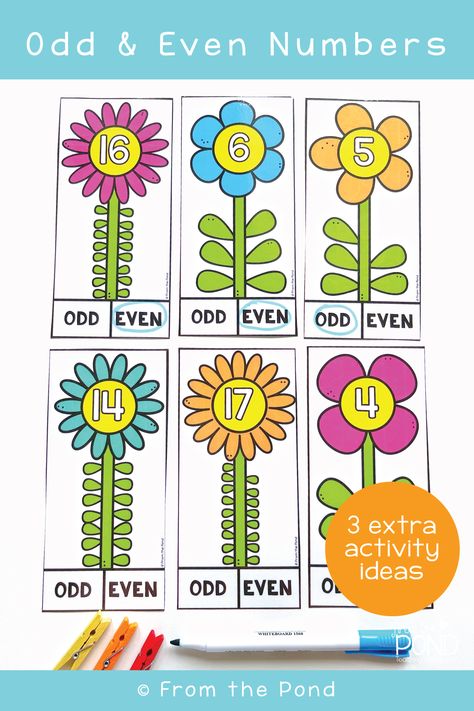 Over on the blog we give you 3 extra ideas for using our odd and even garden cards. These cards help stduents visualize quantities in odd and even numbers and how this is characteristic of each type of number. Read more on the blog! Odd Even Numbers Activities, Odd And Even Numbers Activities, Odd And Even Games, Flower Activities, Flower Math, Even And Odd Numbers, Odd And Even Numbers, Activities For First Grade, Even Numbers