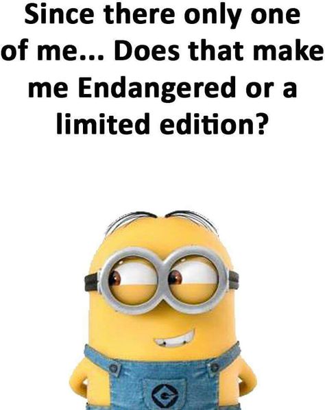 But what if you have  a twin that looks and acts like you!! Minions Images, Minions Fans, Minion Memes, Quotes With Pictures, Minions Humor, Funny Minion Pictures, Funny Minion Memes, Minion Pictures, Minion Jokes