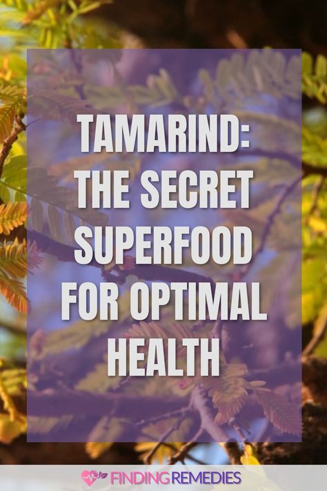 Tamarind: The Secret Superfood for Optimal Health Tamarind Uses, Tamarind Benefits Health, Benefits Of Tamarind, Tamarind Benefits, Tamarind Recipes, Tamarind Fruit, Fruit Health Benefits, Health Facts Food, Fruit Benefits