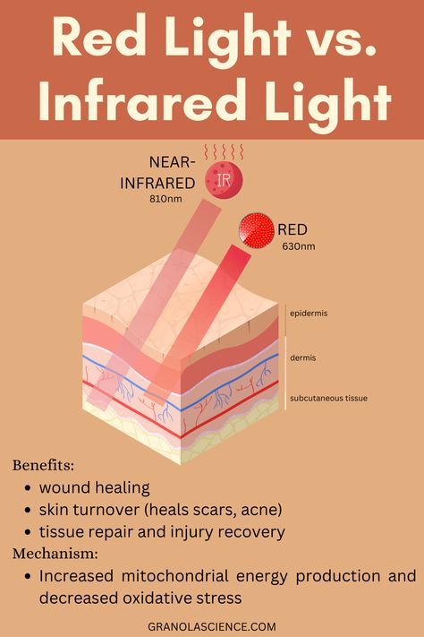 What is the difference between red light therapy and infrared light therapy? They penetrate your tissue to a different depth, but both have similar benefits! They can improve skin appearance, reduce acne, help with wound healing, and reduce inflammation. Learn the science behind red light and infrared light over at Granola Science, a holistic nutrition and health resource Infrared Light Therapy Benefits Of, Diy Red Light Therapy, Light Therapy Benefits, Red Light Therapy Benefits, Infrared Therapy, Therapy Benefits, Sensitive Acne Prone Skin, Improve Your Gut Health, Lip Care Tips