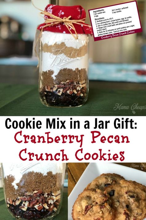 Cookie Mix in a Jar Gift: Cranberry Pecan Crunch Cookies https://www.mamacheaps.com/2019/01/cookie-mix-in-a-jar-gift-cranberry-pecan-crunch-cookies.html Cookie Mix In A Jar Christmas, Christmas Cookie Mix In A Jar Gift, Small Mason Jar Cookie Mix Recipe, Cookie Mix In A Jar Recipe Easy Gifts, Diy Christmas Mason Jar Gifts Cookie Mixes, Mason Jar Cookie Recipes, Cookie Jar Gifts, Oatmeal In A Jar, Baking Mix Recipes