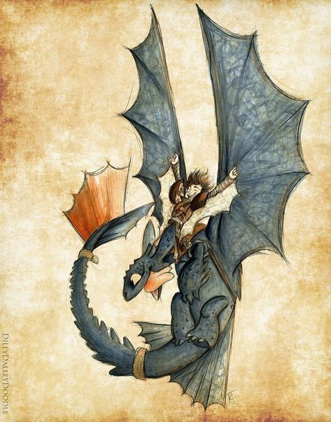 Toothless Httyd, Hiccup Toothless, Race To The Edge, Dragon Toothless, Httyd Hiccup, Httyd Art, Hiccup And Toothless, Got Dragons, Fly With Me