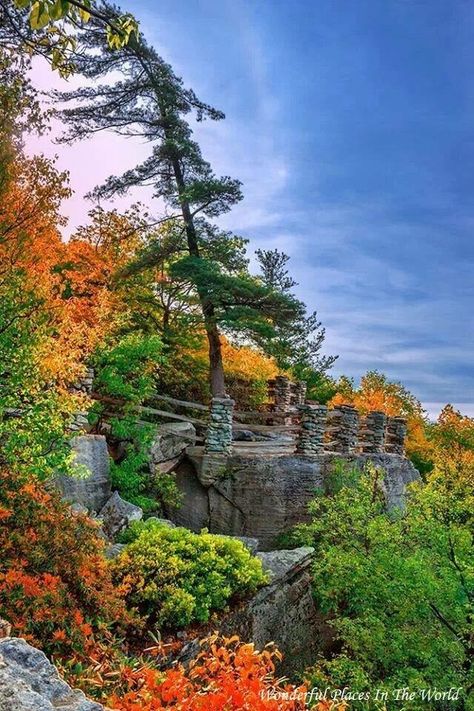 Coopers Rock State Forest, Braceton Mills, West Virginia West Va, Country Roads Take Me Home, Camping Experience, Beautiful Mountains, California Travel, Go Camping, Fall Foliage, West Virginia, Beautiful World