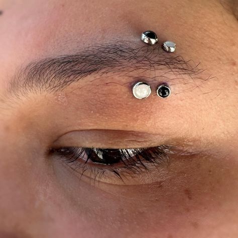 Noah Babcock | Two fresh eyebrow piercings with jewelry by @industrialstrength . #evolutionpiercing #safepiercing #appmember #505 #nmtrie #burque… | Instagram Double Eyebrow Piercing One Side, Double Eyebrow Piercing, Eyebrow Piercings, Eyebrow Piercing, Eyebrows, Piercings, Instagram