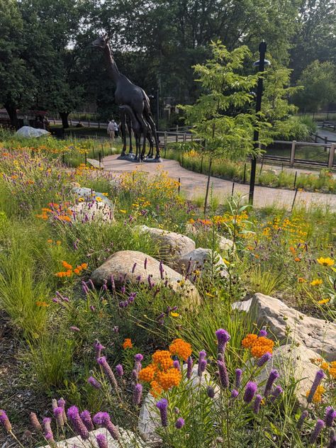 Industrial Sculpture, Mini Meadow, Prairie Landscape, Asclepias Incarnata, Prayer Garden, Swamp Milkweed, Canadian Prairies, Monarch Caterpillar, Asclepias Tuberosa