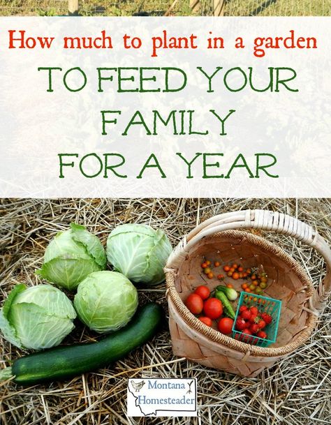 How Much To Plant For A Family Of 4, Garden To Feed Family Of 4, How Much Garden To Feed A Family, How Many Plants To Feed Family, Years Worth Of Food Garden, Montana Garden, Homesteading Goals, Plant Spacing Guide Vegetable Garden, Garden Beginner Get Started