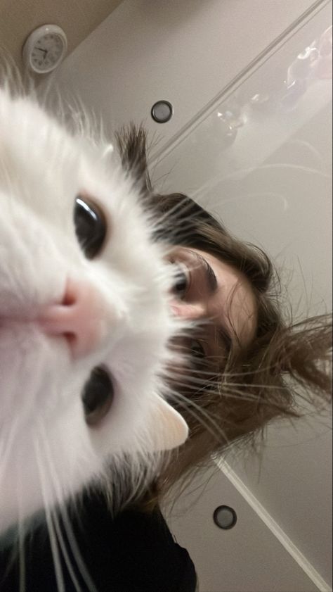 #instagram #cutecat #cat Cat Picture Ideas, Cat Taking Selfie, Selfie With Cat, 2024 Aspirations, Cat Snap, Disney Punk, Angora Cats, Purple Acrylic Nails, Freckles Girl