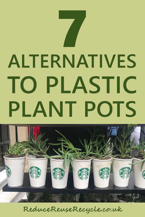 7 Alternatives To Plastic Plant Pots Flower Pot Alternatives, Recycle Pots For Plants, Environmentally Friendly Living, Seed Pots, Plant Seedlings, Paper Pot, Plastic Plant Pots, Plant Pot Diy, Plastic Flower Pots