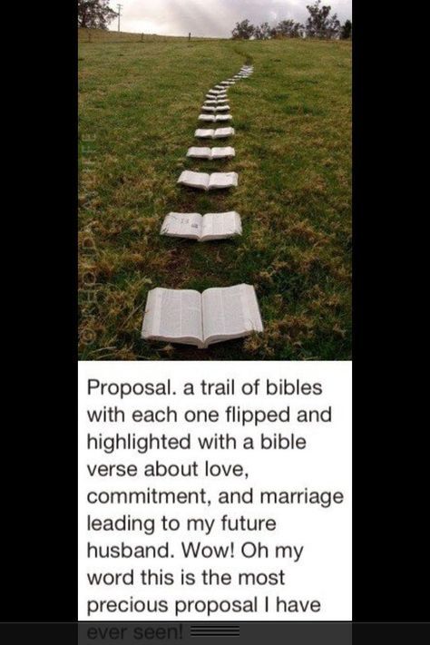 Bible Proposal Ideas, Christian Ideas For Wedding, Christian Proposal Ideas, Future Husband Box Ideas, Purposal Ideas, Christian Engagement Photos, Engagement Proposal Ideas, Christian Wedding Ideas, Christian Engagement