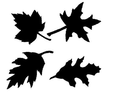 Fall Leaves Free SVGs Leaves Clip Art, Leaf Svg, Free Svgs, Leaf Silhouette, Image Nature, Art Svg, Silhouette Ideas, Silhouette Portrait, Silhouette Free