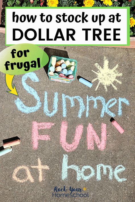 Have a blast this summer with your family using these tips & ideas for how to stock up at Dollar Tree. Enjoy frugal & creative activities for special summer fun. #frugalfun #familyfun #summerfun #summerfunactivities #frugalsummerfun #dollartree Summer Literacy Activities, Free Summer Activities, Summer Homeschool, Outdoor Summer Activities, Literacy Games, Screen Free Activities, Fun Summer Activities, Summer Activities For Kids, Fun Activities For Kids